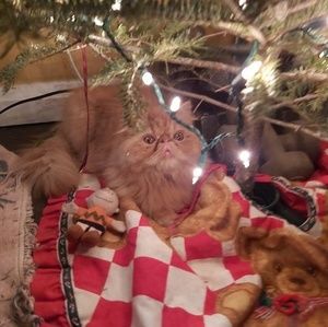 Meet your Posher, Marilyn